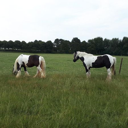 Chalets Op Minicamping Dorpszicht Gapinge Exterior foto
